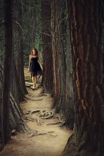 Into%20 The-Woods