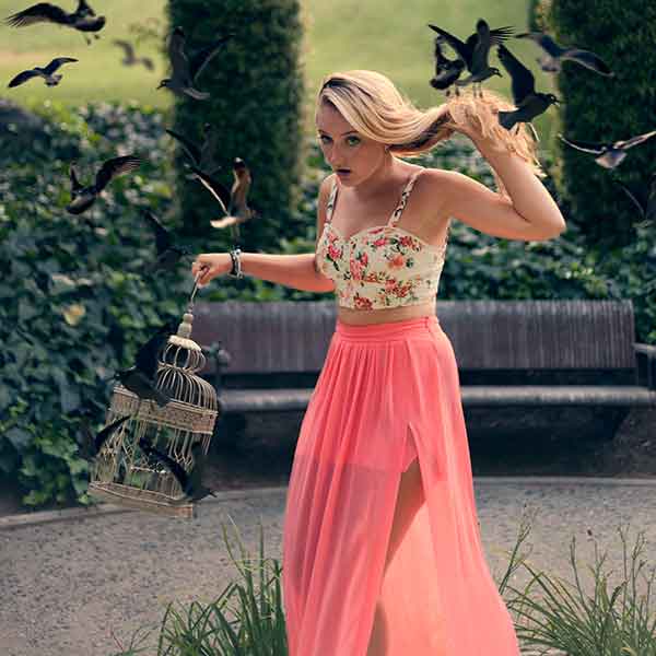 The Birds